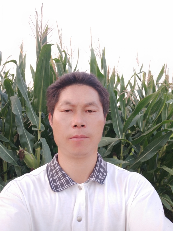 四海游龙的第二张照片--玉林相亲服务中心