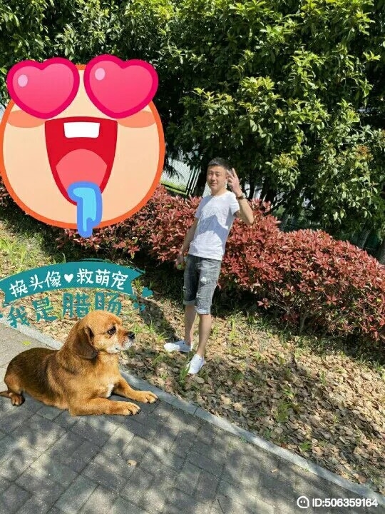 我若不坚强谁替我勇敢的第五张照片--玉林相亲服务中心